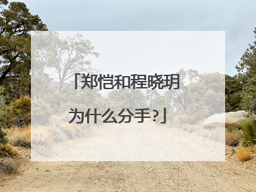 郑恺和程晓玥为什么分手?