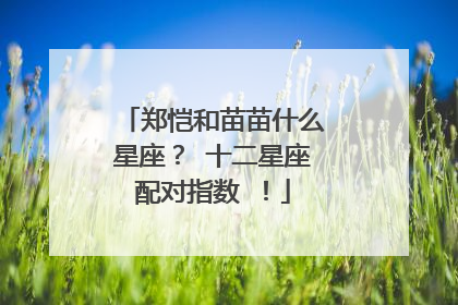郑恺和苗苗什么星座? 十二星座配对指数 !