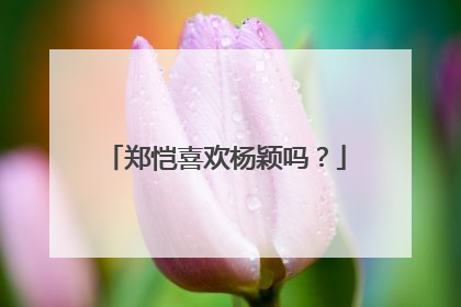 郑恺喜欢杨颖吗?