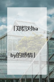 郑恺对baby的感情