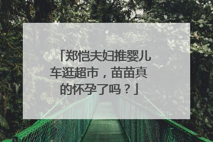 郑恺夫妇推婴儿车逛超市,苗苗真的怀孕了吗?