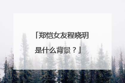 郑恺女友程晓玥是什么背景？