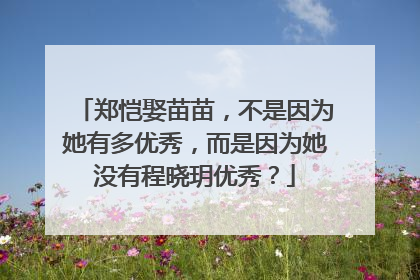 郑恺娶苗苗，不是因为她有多优秀，而是因为她没有程晓玥优秀？