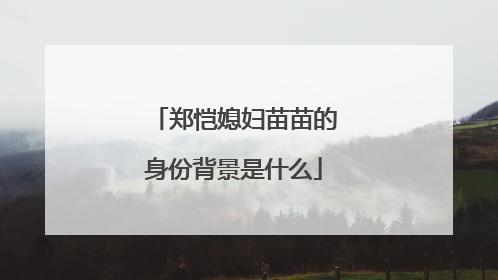 郑恺媳妇苗苗的身份背景是什么