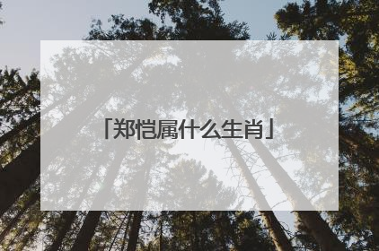 郑恺属什么生肖