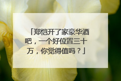 郑恺开了家豪华酒吧，一个好位置三十万，你觉得值吗？