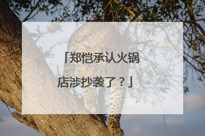 郑恺承认火锅店涉抄袭了？