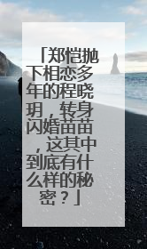 郑恺抛下相恋多年的程晓玥，转身闪婚苗苗，这其中到底有什么样的秘密？