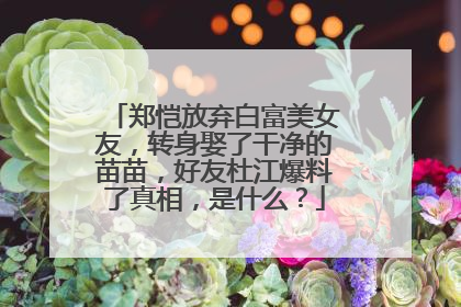 郑恺放弃白富美女友,转身娶了干净的苗苗,好友杜江爆料了真相,是什么?