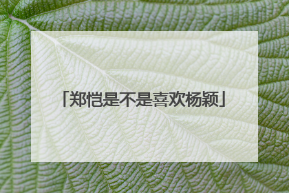 郑恺是不是喜欢杨颖