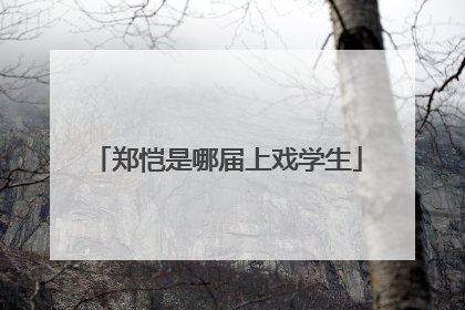 郑恺是哪届上戏学生