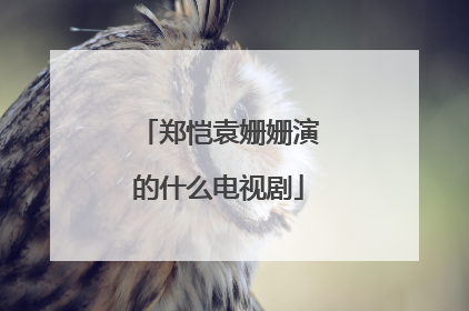 郑恺袁姗姗演的什么电视剧