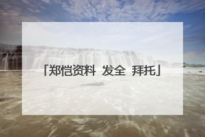 郑恺资料 发全 拜托