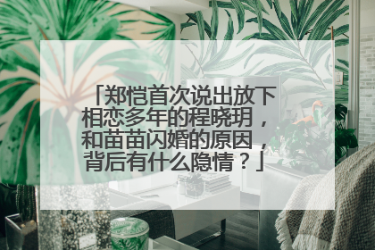 郑恺首次说出放下相恋多年的程晓玥,和苗苗闪婚的原因,背后有什么隐情?