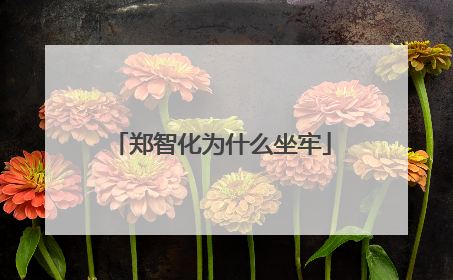 郑智化为什么坐牢