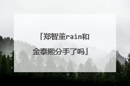 郑智薰rain和金泰熙分手了吗