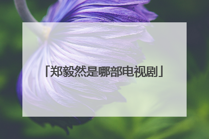 郑毅然是哪部电视剧