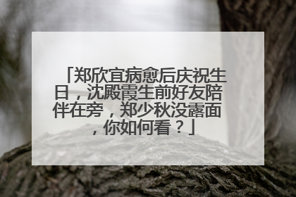郑欣宜病愈后庆祝生日,沈殿霞生前好友陪伴在旁,郑少秋没露面,你如何看?