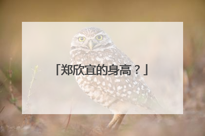 郑欣宜的身高？