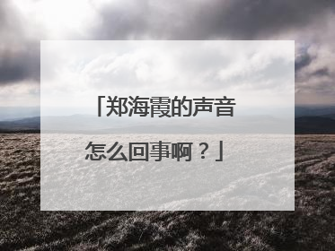 郑海霞的声音怎么回事啊？