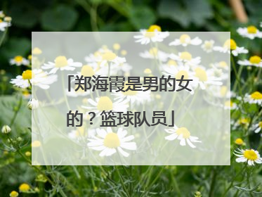 郑海霞是男的女的？篮球队员