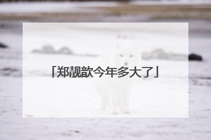 郑靓歆今年多大了