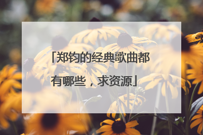 郑钧的经典歌曲都有哪些,求资源