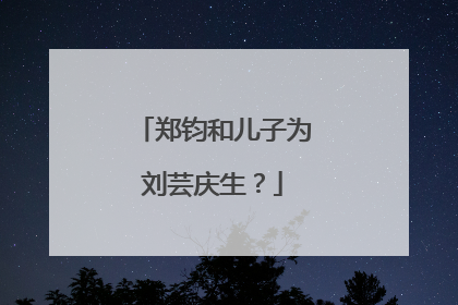 郑钧和儿子为刘芸庆生？