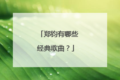 郑钧有哪些经典歌曲？