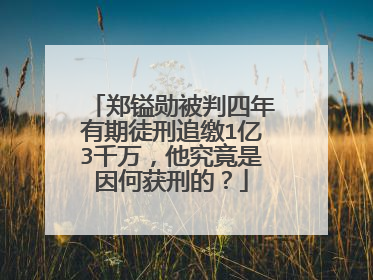 郑镒勋被判四年有期徒刑追缴1亿3千万,他究竟是因何获刑的?