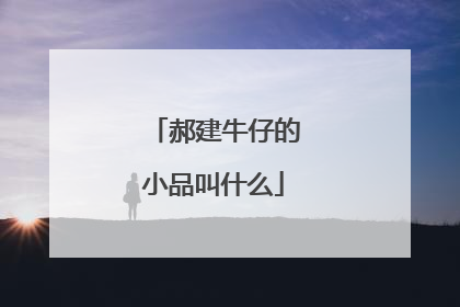 郝建牛仔的小品叫什么