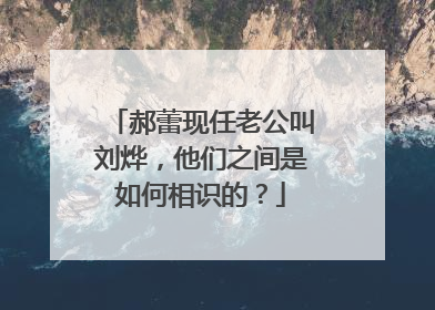 郝蕾现任老公叫刘烨，他们之间是如何相识的？