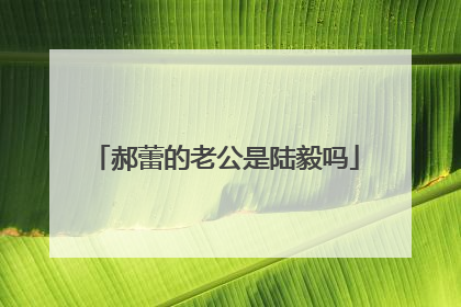 郝蕾的老公是陆毅吗