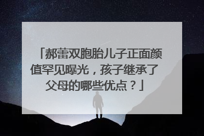 郝蕾双胞胎儿子正面颜值罕见曝光，孩子继承了父母的哪些优点？