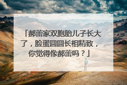 郝蕾家双胞胎儿子长大了，脸蛋圆圆长相精致，你觉得像郝蕾吗？