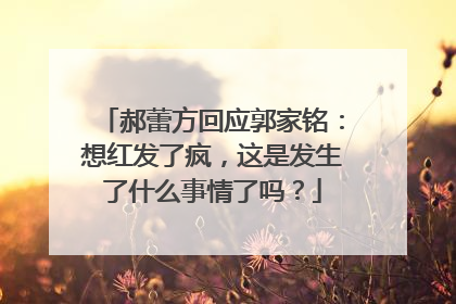 郝蕾方回应郭家铭：想红发了疯，这是发生了什么事情了吗？