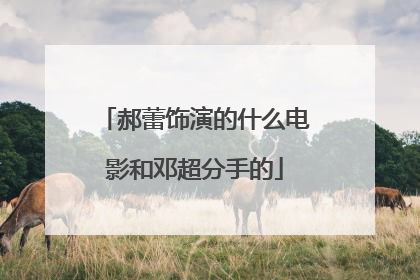 郝蕾饰演的什么电影和邓超分手的