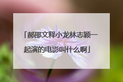 郝邵文释小龙林志颖一起演的电影叫什么啊