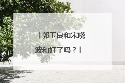 郭玉良和宋晓波和好了吗?