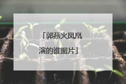 郭燕火凤凰演的谁图片