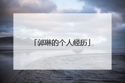 郭琳的个人经历