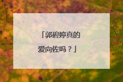 郭碧婷真的爱向佐吗?