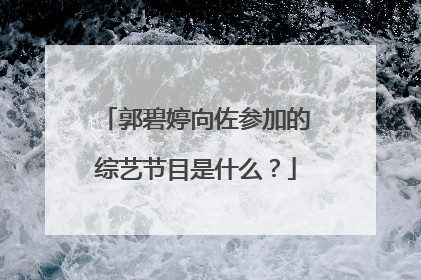 郭碧婷向佐参加的综艺节目是什么?