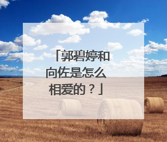 郭碧婷和向佐是怎么相爱的?