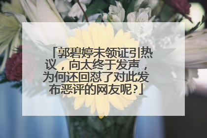 郭碧婷未领证引热议,向太终于发声,为何还回怼了对此发布恶评的网友呢?