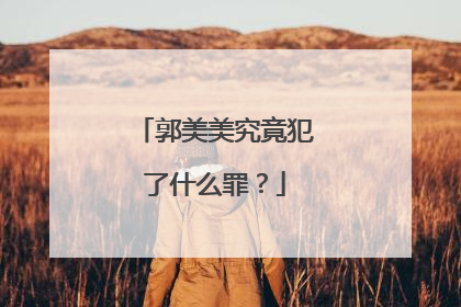 郭美美究竟犯了什么罪？