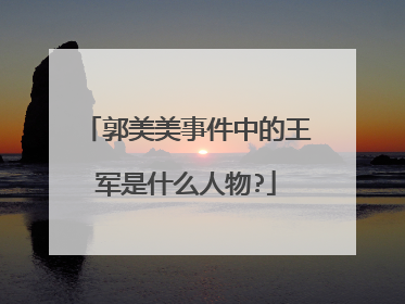 郭美美事件中的王军是什么人物?