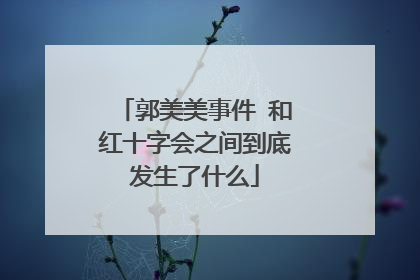 郭美美事件 和红十字会之间到底发生了什么