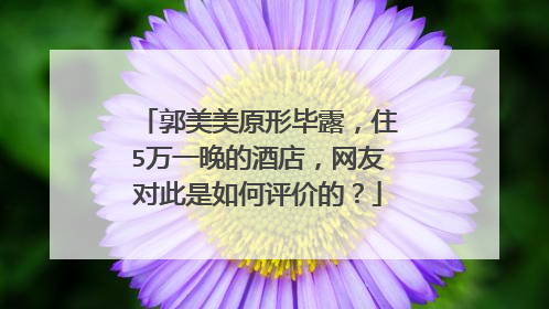 郭美美原形毕露，住5万一晚的酒店，网友对此是如何评价的？