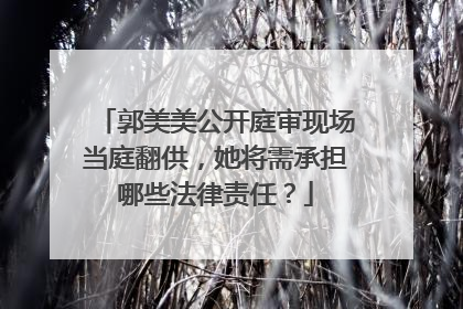 郭美美公开庭审现场当庭翻供,她将需承担哪些法律责任?